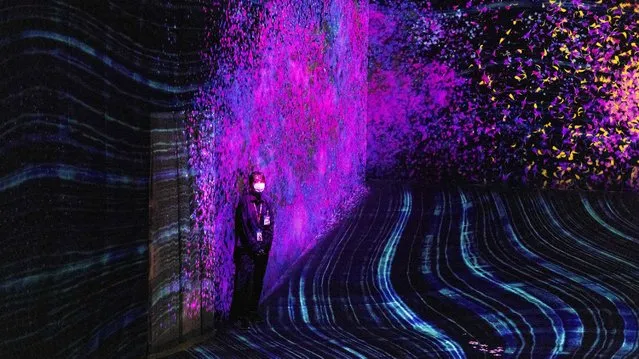 A staff member stands at an interactive digital installation named “Shifting Valley, Living Creatures of Flowers, Symbiotic Lives” during a media preview of teamLab Forest at the BOSS E･ZO FUKUOKA entertainment building in Fukuoka on July 16, 2021. (Photo by Yuki Iwamura/AFP Photo)