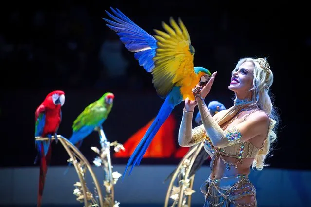 Animal trainer Elisa Cussadie of Italy performs a parrot act on opening night of the annual Budapest International Circus Festival in the Capital Circus of Budapest, Hungary, 10 January 2024. This year’s festival runs from 10 to 15 January, presenting four different shows in six days. (Photo by Zoltan Balogh/EPA/EFE)