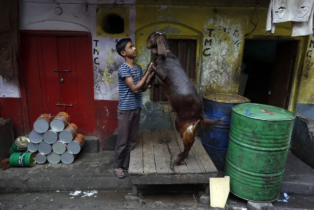 A boy plays with a goat at a roadside market in Kolkata, India, March 2, 2016. (Photo by Rupak De Chowdhuri/Reuters)