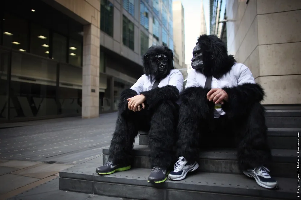 Gorillas Take To The Streets Of The City In Annual Charity Race