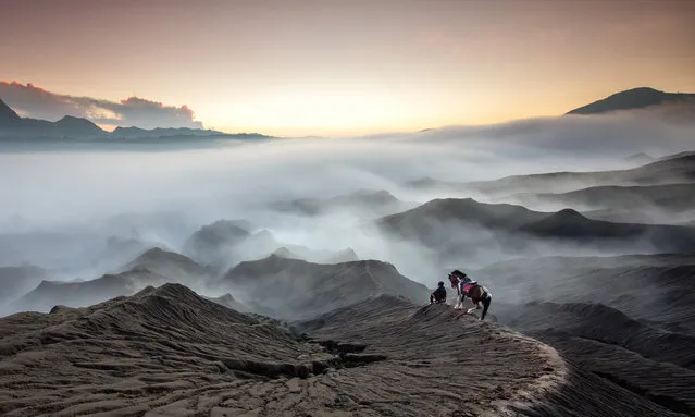 Morning call, Indonesia. To shoot this early morning moment in Bromo Tengger Semeru national park, the photographer climbed the hills at the foot of Mount Bromo on horseback. (Photo by Gunarto Gunawan/Smithsonian Photo Contest)