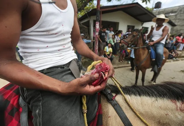 A man holds the head of a rooster, after pulling it off from a live rooster while riding a horse, during celebrations in honour of San Juan Bautista in San Juan de Oriente town, Nicaragua, June 26, 2015. (Photo by Oswaldo Rivas/Reuters)