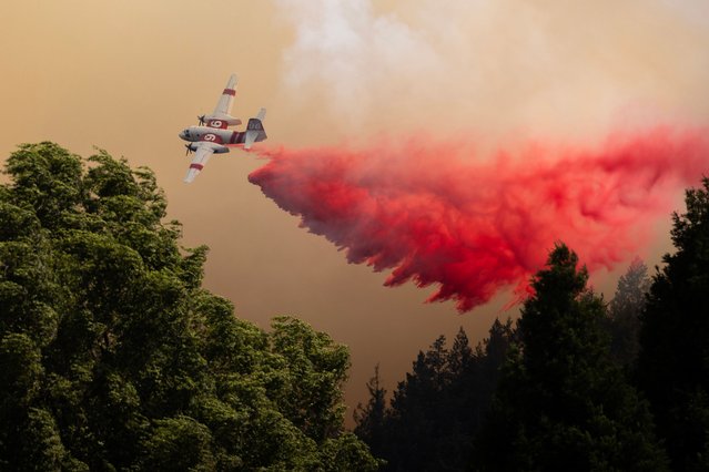 A plane drops retardant ahead of the Point Fire, west of Geyserville, California on Sunday, June 16, 2024. Fast-moving wildfires, pushed by high winds, hit dry landscapes forcing evacuations as California enters the fire season. (Photo by Peter DaSilva/UPI/Rex Features/Shutterstock)