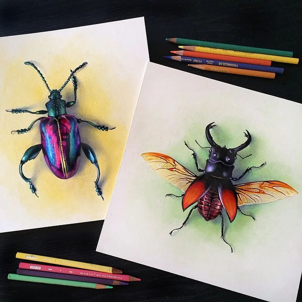 Colored Pencil Illustrations by Morgan Davidson