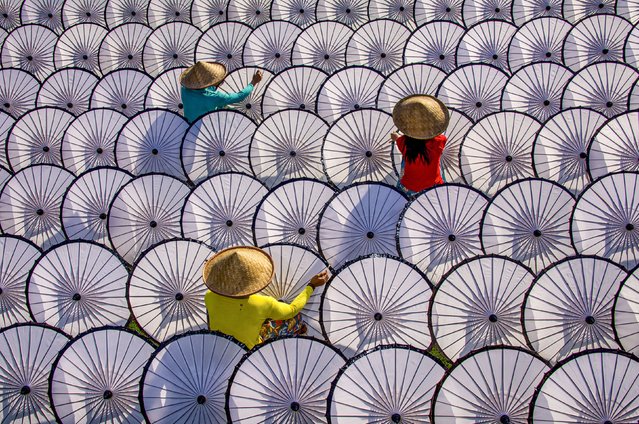 Workers in the first decade of June 2024 lacquering and organising parasols in neat lines to dry in the sunshine in Kampung Budaya Sindangbarang, West Java, so they will be preserved for longer. (Photo by Riza Amrullah/Solent News)