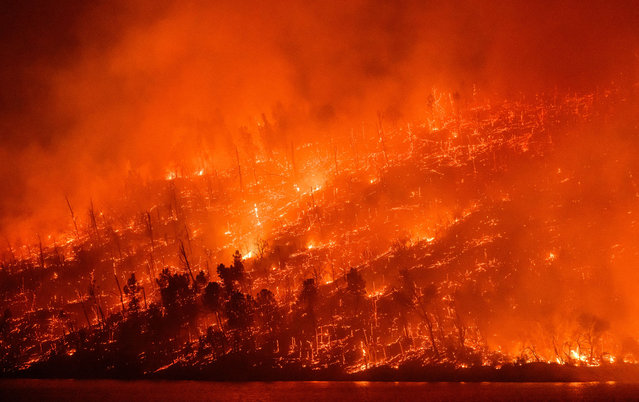 The Thompson fire burns around Lake Oroville in Oroville, California on July 2, 2024. A heatwave is sending temperatures soaring resulting in red flag fire warnings throughout the state. (Photo by Josh Edelson/AFP Photo)