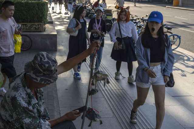 A woman reacts to tortoises on sale on the street in Beijing, Thursday, August 8, 2024. (Photo by Ng Han Guan/AP Photo)