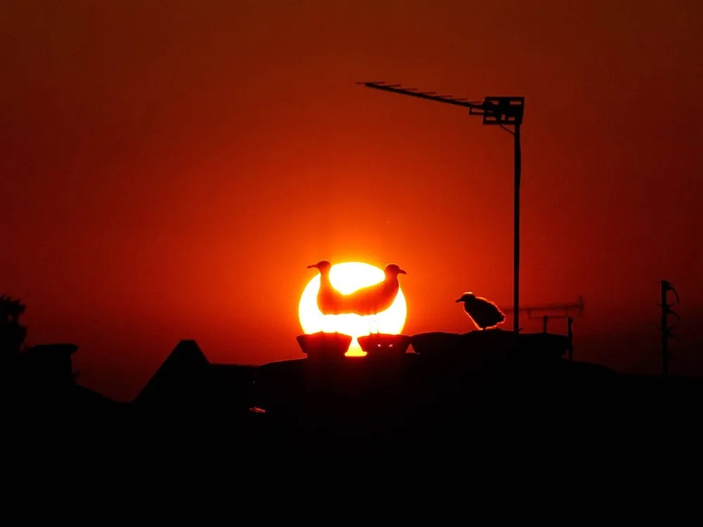 Simply Some Photos: Silhouettes