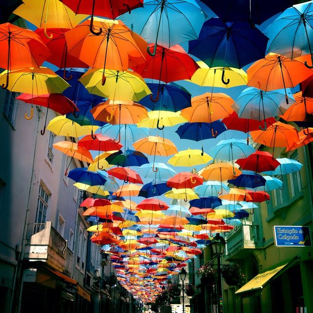 Umbrella Sky In Agueda, Portugal