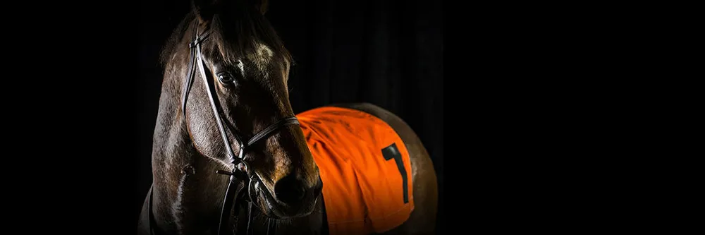 Top 3 Casinos In Canada