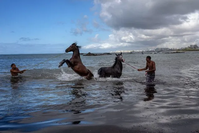 Albert Franca, right, and Ruan Gabriel wash their pet horses in the Atlantic Ocean in Salvador, Bahia state, Brazil, Thursday, September 15, 2022. The young men said they live near the ocean where they ride their horses once a month for a swim. (Photo by Rodrigo Abd/AP Photo)