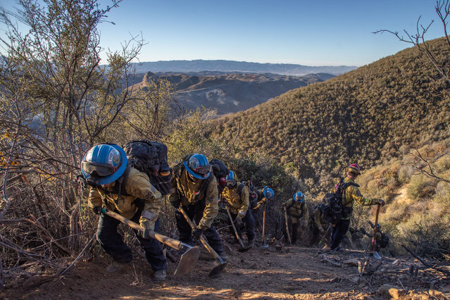 Firefighters work to create a containment fire line to control the Hughes Fire in Castaic, a neighborhood of Los Angeles, California, on January 23, 2025. Firefighters who battled through the night to tame a new blaze that erupted near Los Angeles appeared to be making progress on January 23, even as dangerous fire weather continued throughout Southern California. A massive response involving aircraft, bulldozers and 4,000 personnel had swung into action as flames raced across hillsides in Castaic, 35 miles (56 km) north of Los Angeles. (Photo by Apu Gomes/AFP Photo)