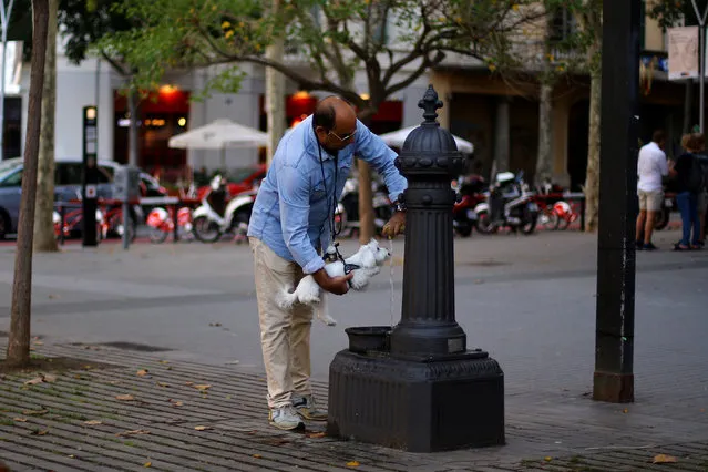 A man helps a dog to drink water in a street in Barcelona, Spain October 22, 2017. (Photo by Ivan Alvarado/Reuters)