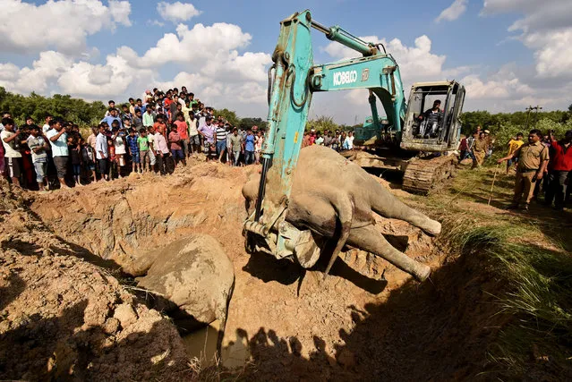 An excavator places the carcasses of two elephants, who according to forest officials were electrocuted early morning in a paddy field, for their burial at Kuruabahi village, in Nagaon district in the northeastern state of Assam,  December 12, 2017. (Photo by Anuwar Hazarika/Reuters)