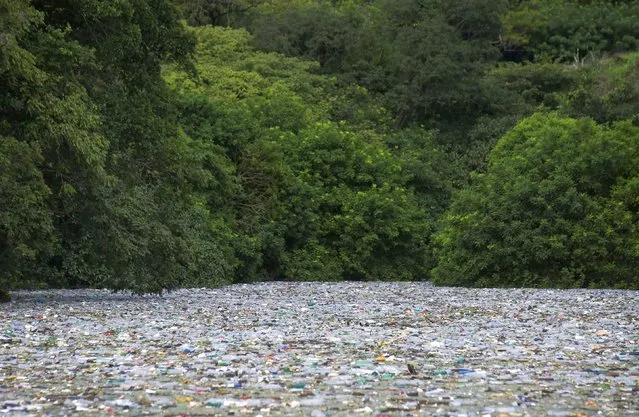 Plastic bottles and rubbish float on El Cerrón Grande reservoir in Potonico, El Salvador on November 23, 2022. (Photo by Jose Cabezas/Reuters)