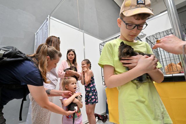 Young visitors react as they choose kittens for adoption during the “Adopt me days” festival in Kyiv on July 5, 2025, amid Russian invasion in Ukraine. More than 500 cats and dogs, mainly evacuated from the battlefields territories and placed in Kyiv and the region shelters, were presented for adoption. (Photo by Sergei Supinsky/AFP Photo)