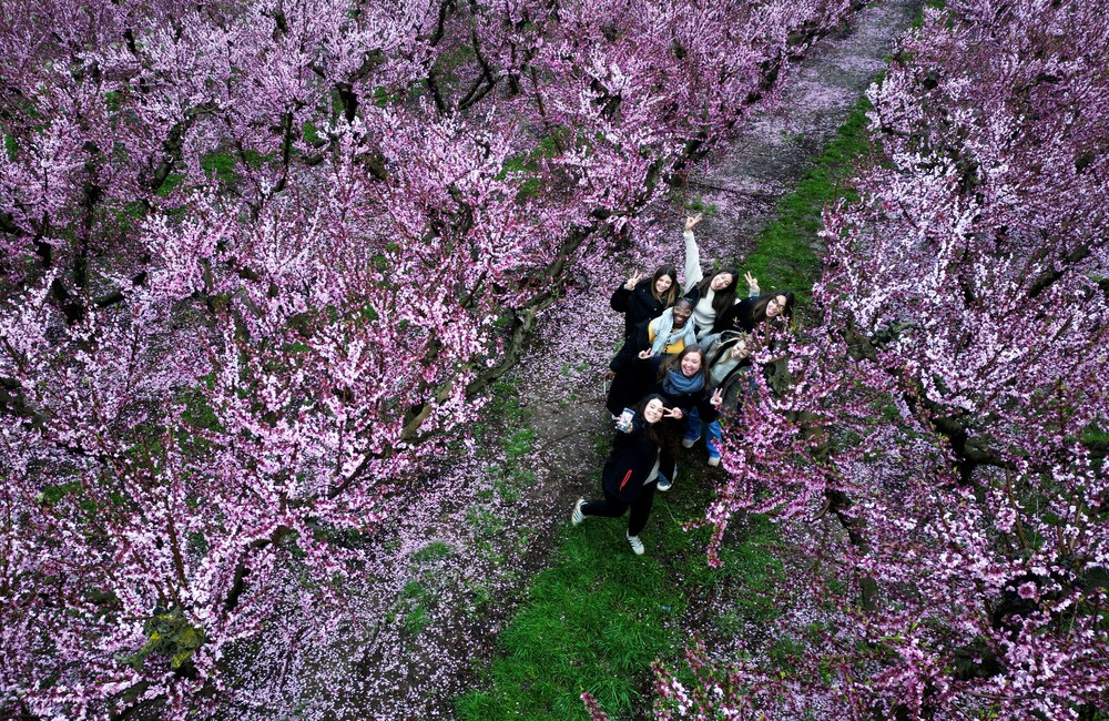 Some Photos: In Flowers