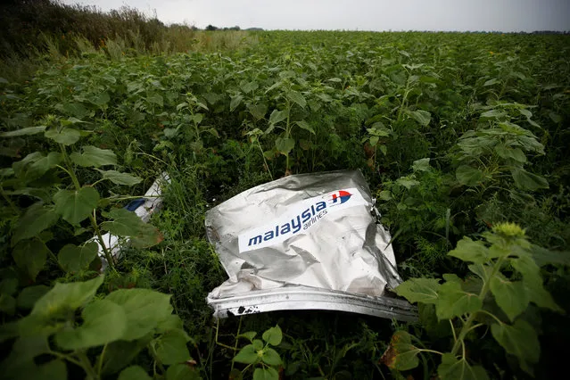 Debris from a Malaysian Airlines Boeing 777 that crashed on Thursday lies on the ground near the village of Rozsypne in the Donetsk region July 18, 2014. (Photo by Maxim Zmeyev/Reuters)
