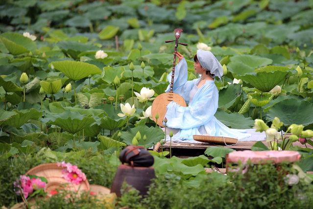 A woman poses for a photo next to lotus flowers in West lake in Hanoi, Vietnam, 09 June 2025.. Lotus flowers bloom from late May to August in Vietnam and are commonly found growing in the muddy waters of lakes and ponds across the country. (Photo by Luong Thai Linh/EPA)