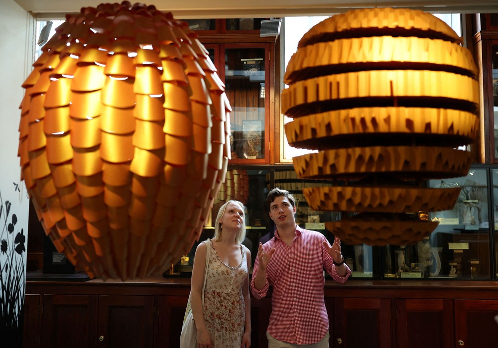 Some Photos: Contemporary Art