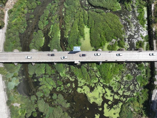 An aerial view shows parts of the Tunca River covered with dense weed clusters as the flow has stopped in some sections due to drought in Edirne, Turkiye, on August 30, 2025. (Photo by Gokhan Zobar/Anadolu via Getty Images)