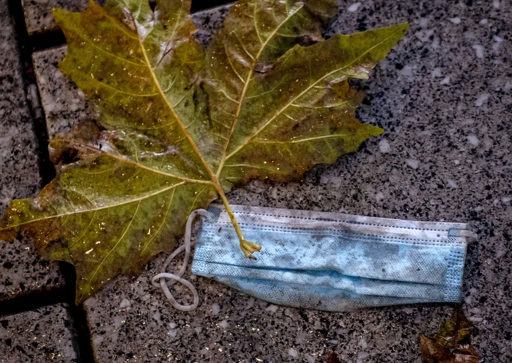 The Day in Photos – December 18, 2020