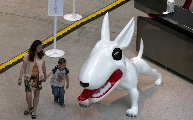 Mother and son watching a dog sculpture in Beijing, China, on May 22, 2013. (Photo by Ng Han Guan/AP Photo)