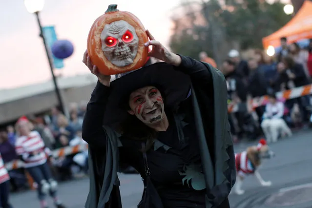 A woman in costume carries a pumpkin in the annual Nyack Halloween Parade in the Village of Nyack, New York, U.S., October 29, 2016. (Photo by Mike Segar/Reuters)