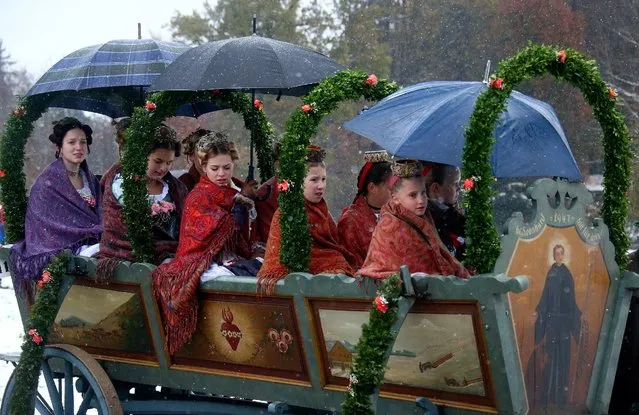 Farmers' children and family dressed in traditional Bavarian costumes ride in a wooden carriage on the way to the chapel on the Kalvarienberg in Bad Toelz, during the Leonhard procession November 7, 2016. (Photo by Michael Dalder/Reuters)