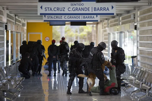 A police dog attacks a man playing the role of a criminal during a security drill in a BRT Transcarioca (Rapid Transit Bus) station in Rio de Janeiro, Brazil, Wednesday, February 11, 2015. (Photo by Felipe Dana/AP Photo)