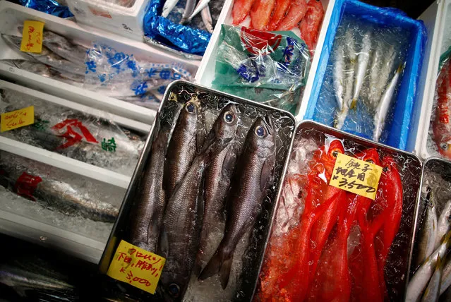 Japanese black-blue fish are displayed beside other fish for sale at the Tsukiji fish market in Tokyo, Japan, September 29, 2018. (Photo by Issei Kato/Reuters)