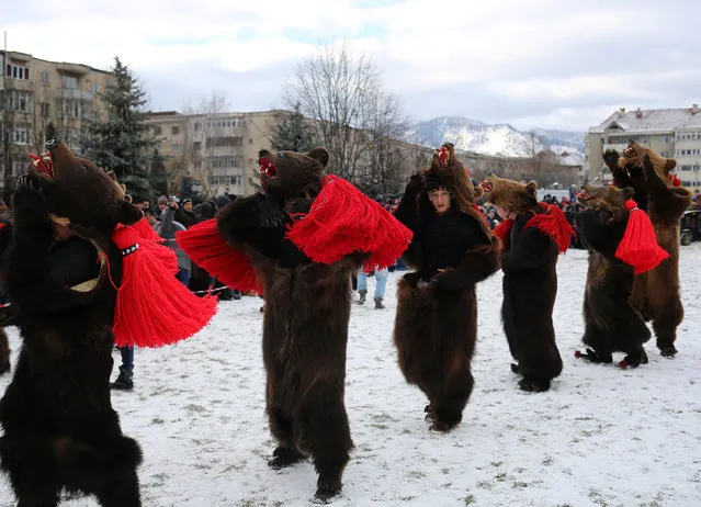 Dancers wearing costumes made of bearskins dance in the town of Comanesti, Romania December 30, 2016. People from this region follow a pre-Christian rural tradition where they sing and dance to ward off evil. (Photo by Stoyan Nenov/Reuters)