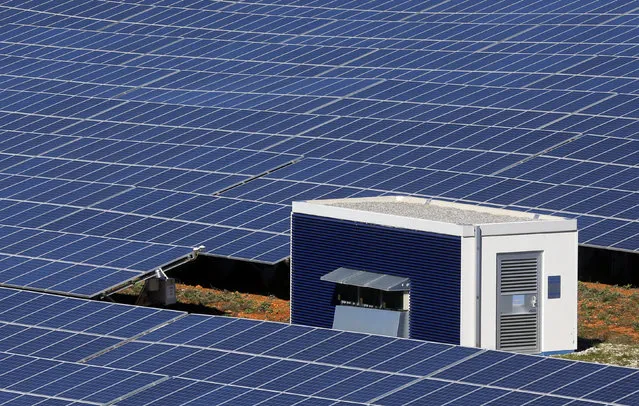 A general view shows solar panels to produce renewable energy at the photovoltaic park in Les Mees, in the department of Alpes-de-Haute-Provence, southern France March 31, 2015. (Photo by Jean-Paul Pelissier/Reuters)