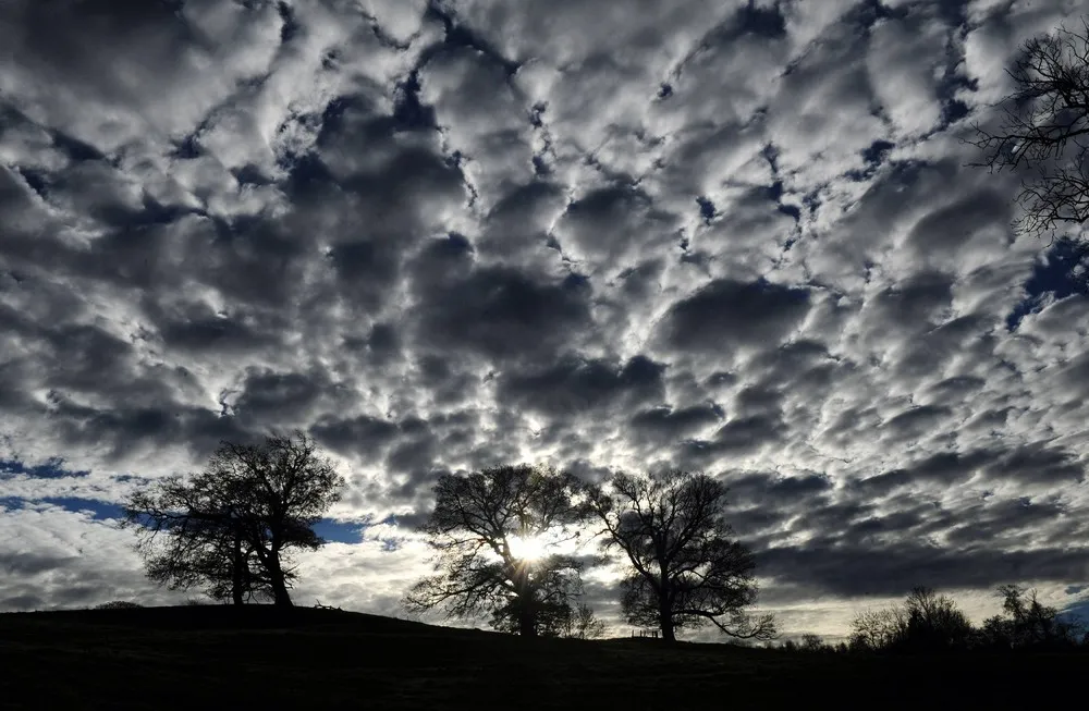 The Week in Pictures: November 22 – November 29, 2013 (79 Photos)