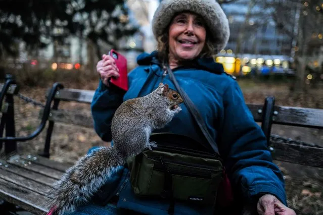 A woman feeds a squirrel in a park in the Lower Manhattan borough of New York City on December 19, 2023. (Photo by Charly Triballeau/AFP Photo)