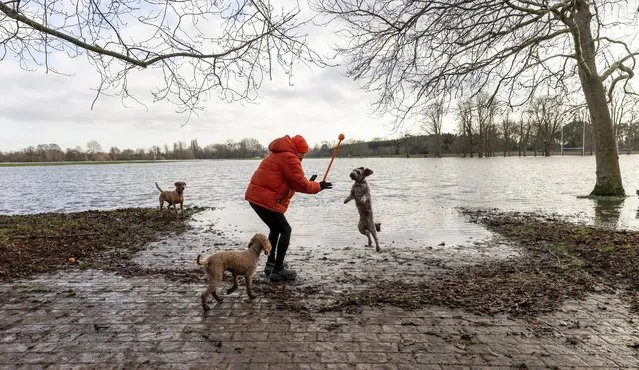 Teresa Flynn and her dogs didn’t let flooding in Home Park, Windsor, UK ruin their fun in the first decade of January 2024. (Photo by Richard Pohle/The Times)