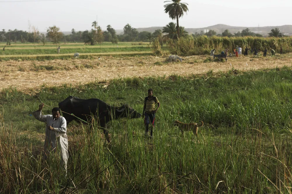 Egypt Doormans Holiday