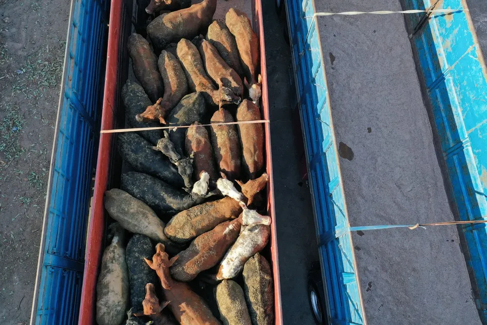 A Look at Life in Iraq