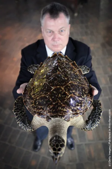 Detective Sergeant Ian Knox holds a stuffed Hawksbill Turtle at an Endangered Species exhibition at London Zoo