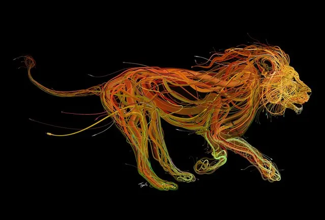 “The Conquering Lion: Plug into the power of Reggae (2)”. (Photo by Charis Tsevis)