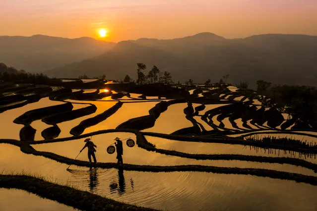“Fishing on the Rice Terraces”. These men were hunting for frogs in the rice terrace ponds of Yuanyang County at sunset. Photo location: Yuanyang County, Yunnan Province, China. (Photo and caption by Shawn Talbot/National Geographic Photo Contest)
