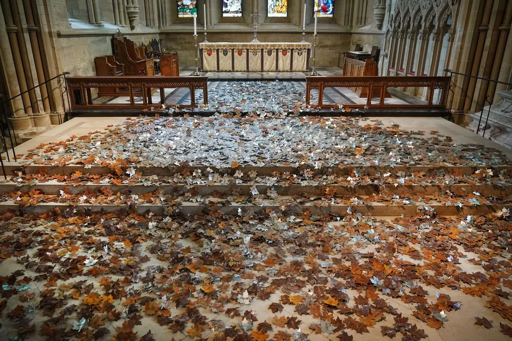 Pictures of the Year 2021, Part 34/102