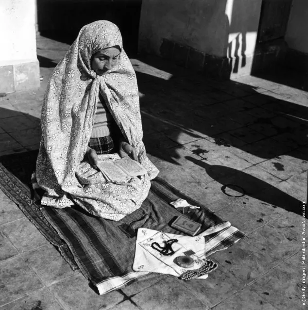 1955:  A woman reading from the Koran during her prayers which she makes five times a day