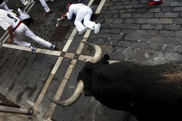 A runner falls next to a Garcigrande fighting bull at the Mercaderes curve during the seventh running of the bulls of the San Fermin festival in Pamplona, northern Spain, July 13, 2015. (Photo by Joseba Etxaburu/Reuters)