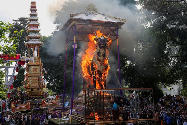 Bull statue containing the coffin of deceased Tjokorda Istri Rai Dharmawati, member of Ubud royal palace, burns during the procession of the royal cremation ceremony, known as “Pelebon”, in Ubud, Gianyar, Bali, Indonesia, on June 10, 2024. (Photo by Johannes P. Christo/Reuters)