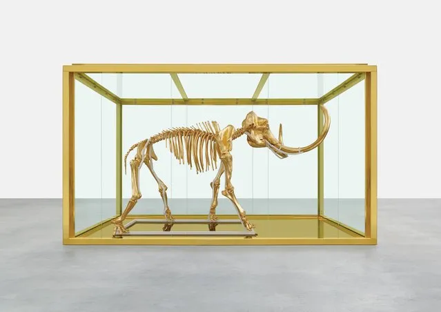 In this undated photo released by Damien Hirst and Science Ltd., British artist Damien Hirst's latest piece entitled “Gone but Not Forgotten”, which features the gilded skeleton of a woolly mammoth in a steel and glass vitrine, is displayed. Famed British artist Damien Hirst has created a gilded woolly mammoth skeleton encased in a gold tank to be auctioned off at the annual amfAR Cinema Against AIDS gala in Cap d'Antibes, southern France, on Thursday, May 22, 2014. (Photo by AP Photo/Prudence Cuming Associates)