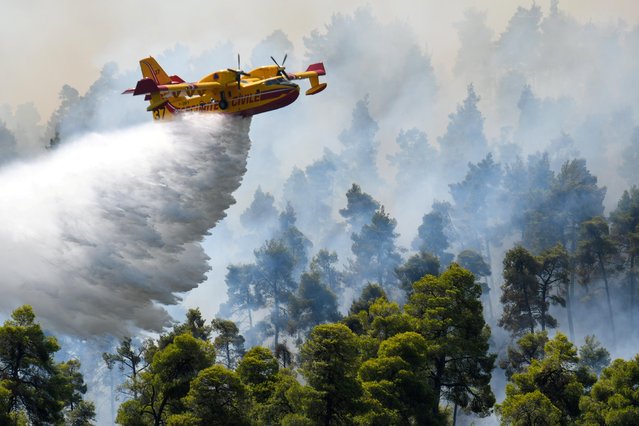 A firefighting airplane makes a water drop as a wildfire burns near the village of Ellinika, on the island of Evia, Greece, August 8, 2021. (Photo by Alexandros Avramidis/Reuters)