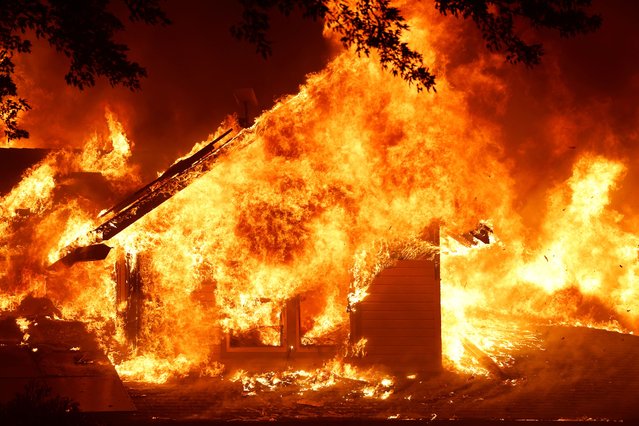 A burning house is seen as Park Fire burns near Chico, California, U.S. July 25, 2024. (Photo by Fred Greaves/Reuters)