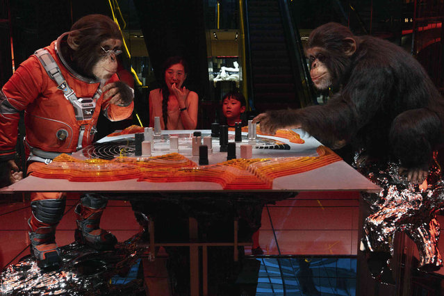 Visitors to a mall look at an exhibition depicting chimpanzees in space suits playing a board game in Beijing, Thursday, August 8, 2024. (Photo by Ng Han Guan/AP Photo)