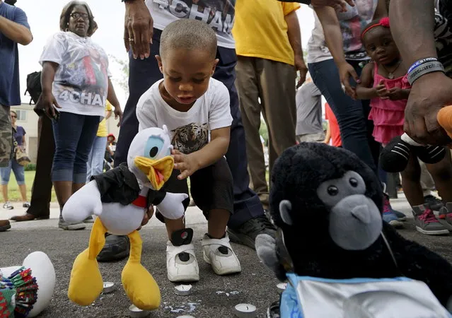 A young relative of Michael Brown places a stuffed animal at a memorial to Brown before a protest march in Ferguson, Missouri August 8, 2015. (Photo by Rick Wilking/Reuters)